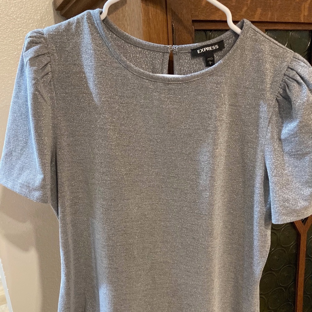 Silver Blouse - Express/size Large